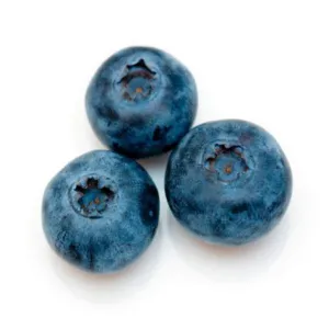 Blueberries Box  ~120G